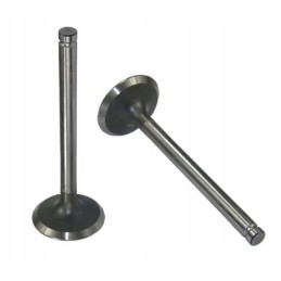 Intake valve mf4 original ursus sold for 4