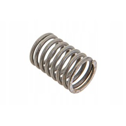 55102006 extension coil spring l 193mm