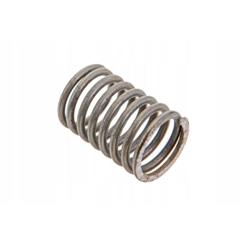 55102006 extension coil spring l 193mm