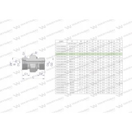 Hydraulic connection heavy version xge bb m1