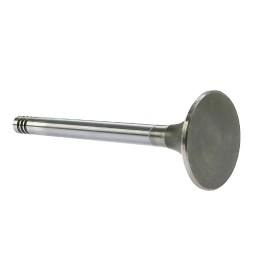 Fendt Farer Andoria intake valve mot