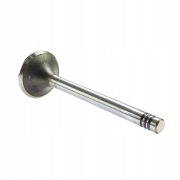 Fendt Farer Andoria intake valve mot