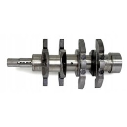 Engine crankshaft with M 12 Wladimirec T 25 screw