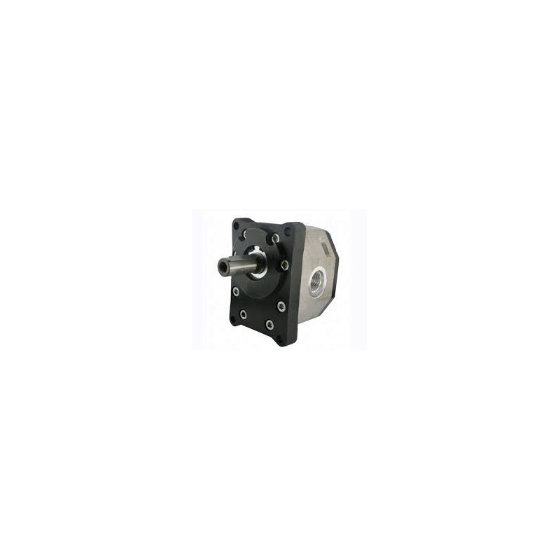 Hydraulic pump for troll PZS 25P PZ2 KZ 25P