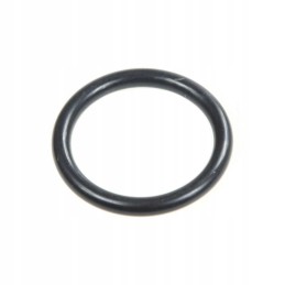Hydraulic pump o-ring mf 359002x1 original