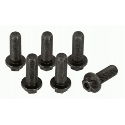 Flywheel bolt set