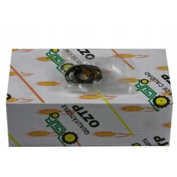 Lifter piston ring mf3 mf4