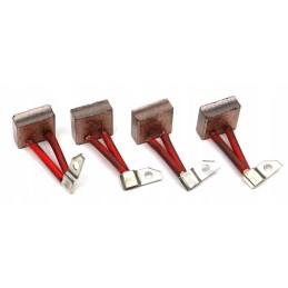 Set of starter brushes r 11 46657110 4 pieces