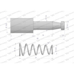 Fork shaft pin, R series, Warynski