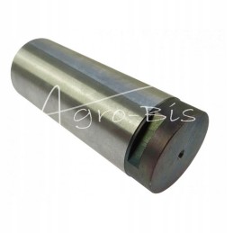 Axle pin c 328 Polish