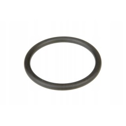 F119200610030 water pump o-ring 48 x 5