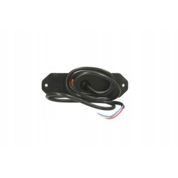Front turn signal lamp LP glass color through