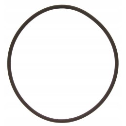 Oring 3 53x98 02 new holland case 14465981 cnh