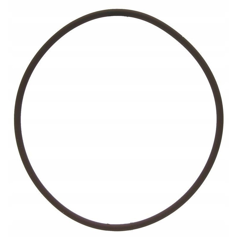 Oring 3 53x98 02 new holland case 14465981 cnh