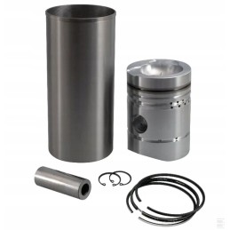 26900230020291 engine repair kit 3 rings