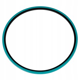 Casket piston seal case fiat ford 5162398