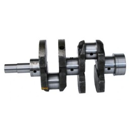 Engine crankshaft with M 14 Wladimirec T 25 screw
