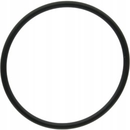 Oring 159000 3019927x1 dana spicer