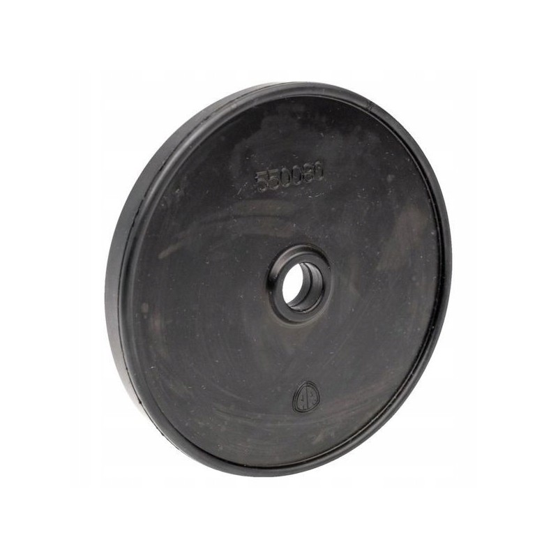 AR OE 115 side pump diaphragm with an annovi r hole