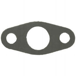 Seal f184230100110 fendt