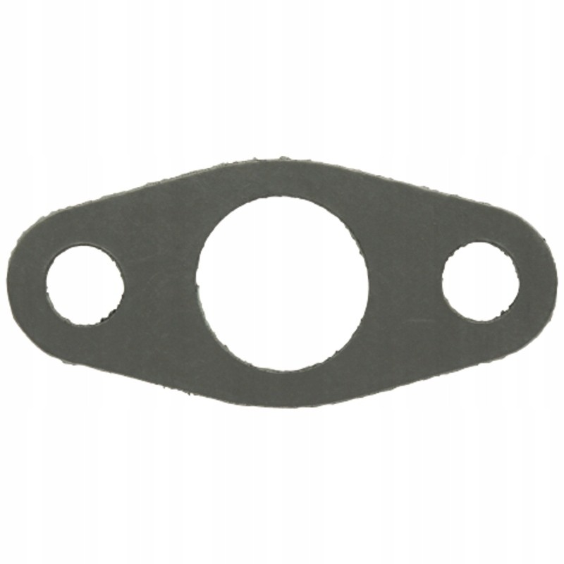 Seal f184230100110 fendt