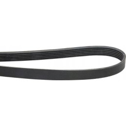 Dayco V-belt