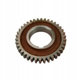 Oil pump gear, crankshaft C330 50001810