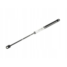 Gas engine 950876049s