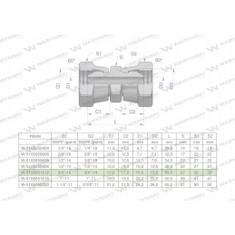 Inch hydraulic connector AA 3 4 Warynski BSP