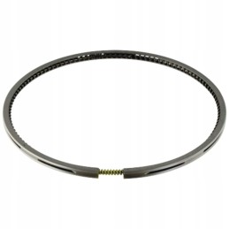 Piston ring set 2233074 deutz fahr