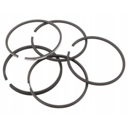 Set of rings for 1 piston C 330 Premium or Ursus