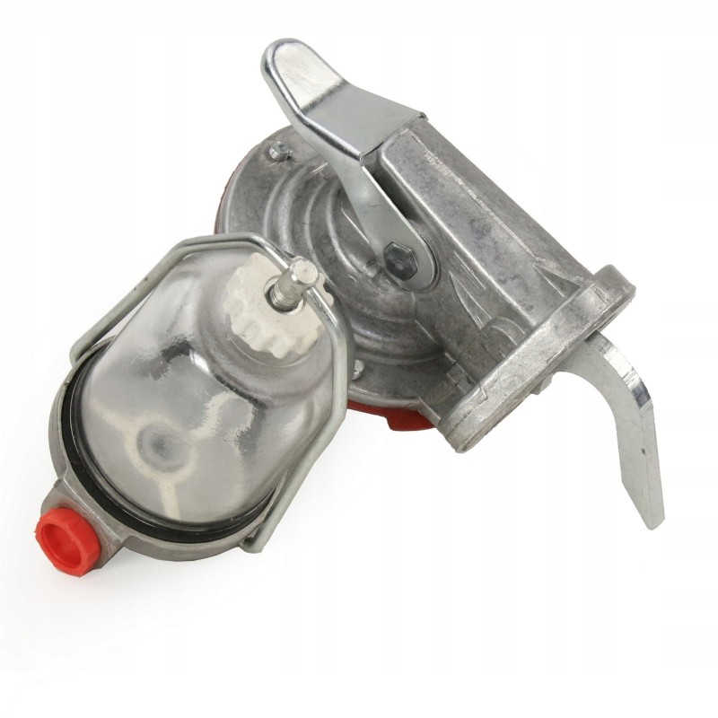 Fuel feed pump with common filter