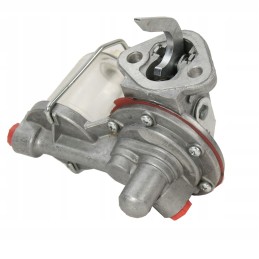 Fuel feed pump with common filter