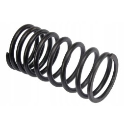 Vpa2003 head valve spring