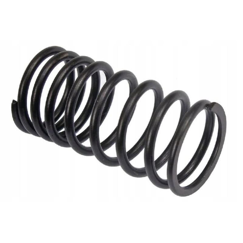 Vpa2003 head valve spring
