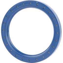 Seal baud5 100x130x12 72nbr