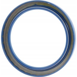 Seal baud5 100x130x12 72nbr