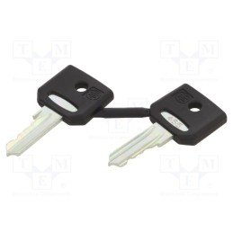1 pcs x SCHNEIDER ELECTRIC - ZBG455 - Key, 22mm, Harmony XB4, 2pcs.