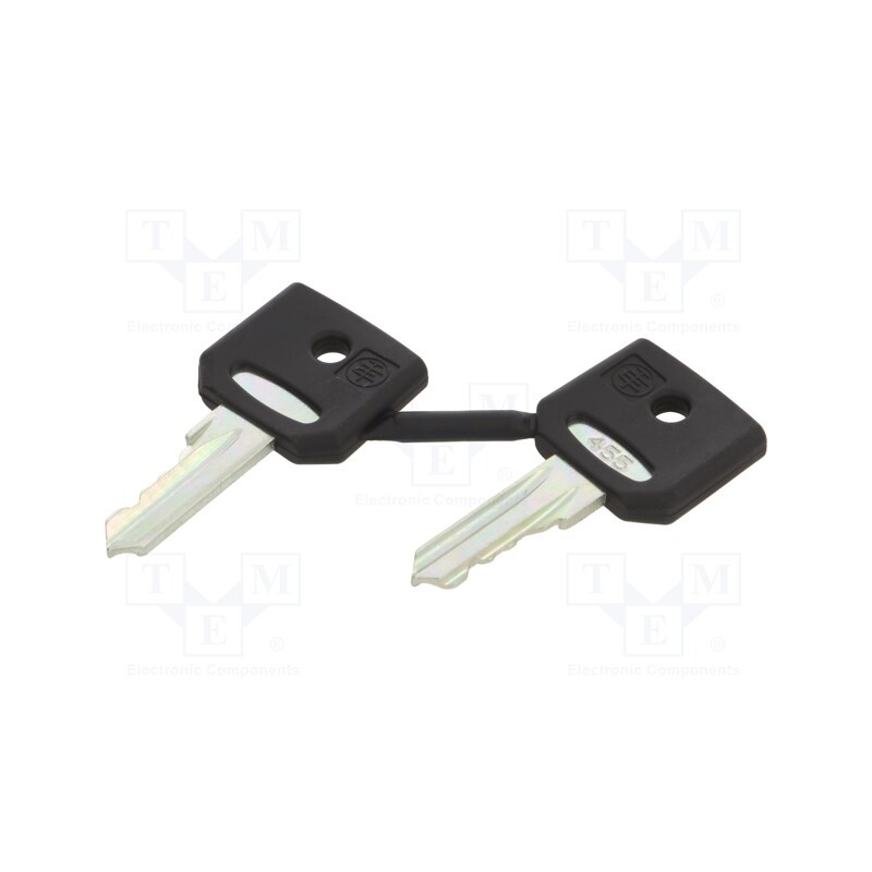 1 pcs x SCHNEIDER ELECTRIC - ZBG455 - Key, 22mm, Harmony XB4, 2pcs.