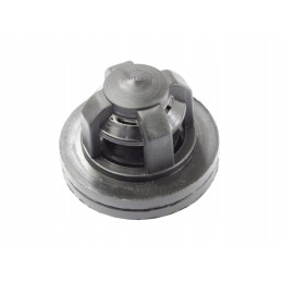 Pump valve p 120 Biardzki 4329080070