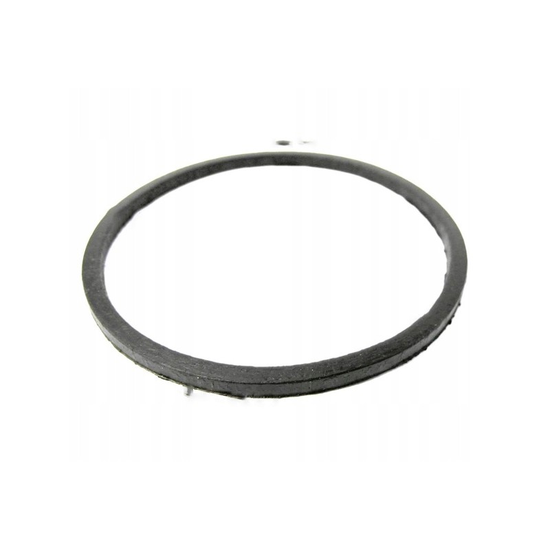 Fuel filter gasket for c 4011 50407920 product
