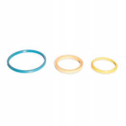 T8 New Holland 87708875 actuator seal kit