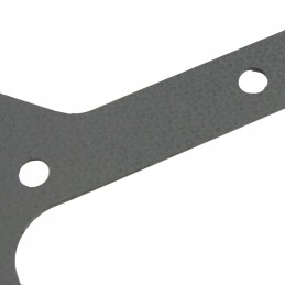 Proxima oil pan gasket