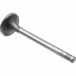 Renault 38006027 granite exhaust valve