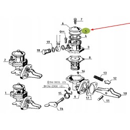 6005010620 sealing ring 38 x 1