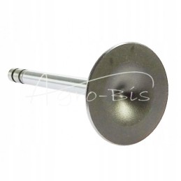 Suction valve T25 Andoria mot, packed in 2 pcs