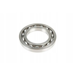 6009 ball bearing usually 1 row