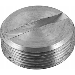 Crankshaft plug larger c 385 26900080003013