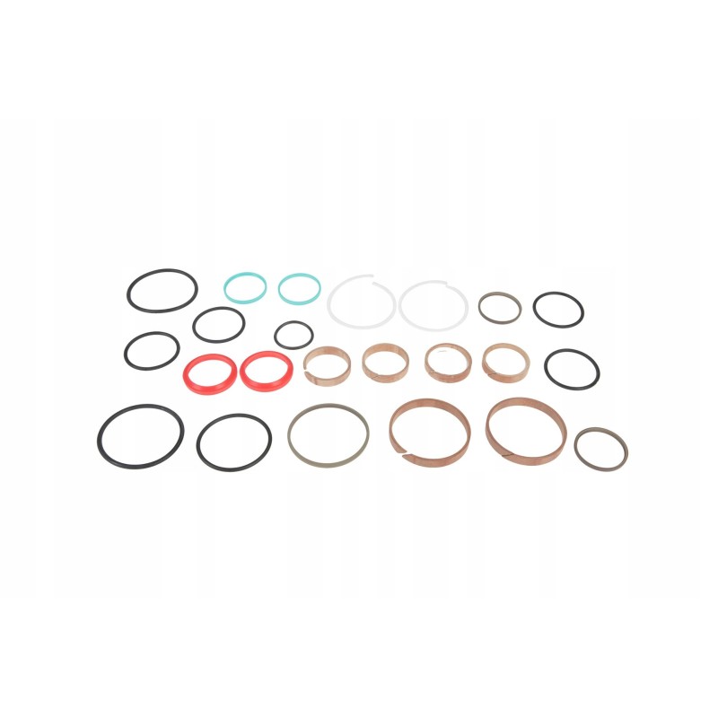 859828 0 sets of hydraulic cylinder seals
