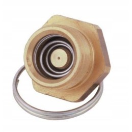 Air tank drainage valve 22x1 5 polmo